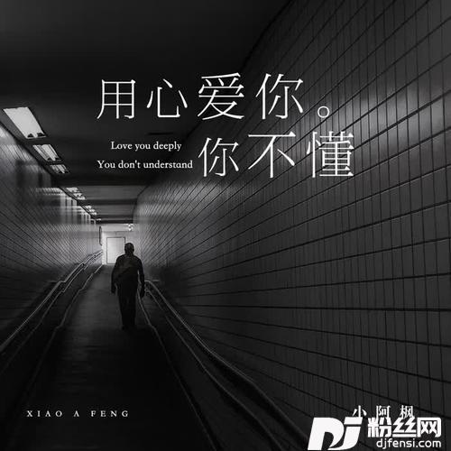 用心爱你你不懂的专辑
