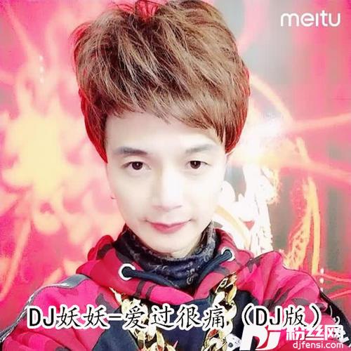爱过很痛DJ版