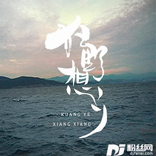 狂野想乡的专辑