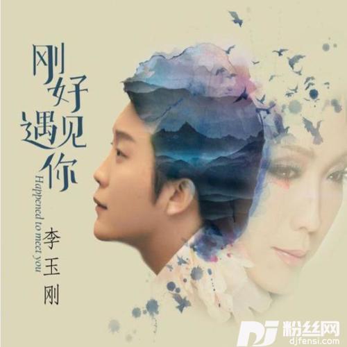 李玉刚-刚好遇见你[Dj_Yaha_Mix2017]
