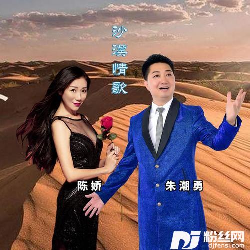沙漠情歌