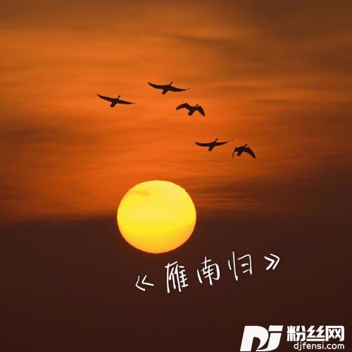 雁南归Demo