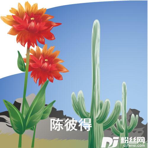 我可爱的她呀在哪里老椰子树下