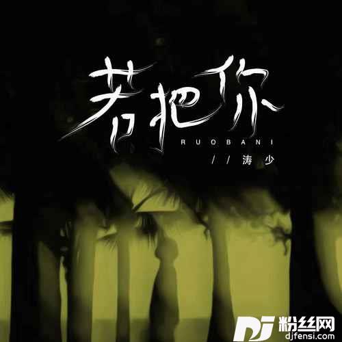 若把你DJ弹鼓版的专辑