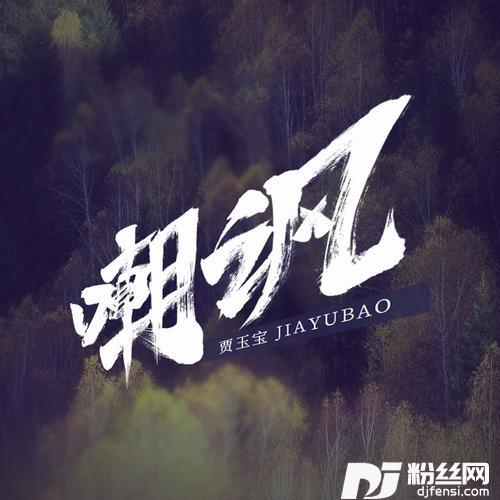 嘲讽（DJheap九天版）的专辑