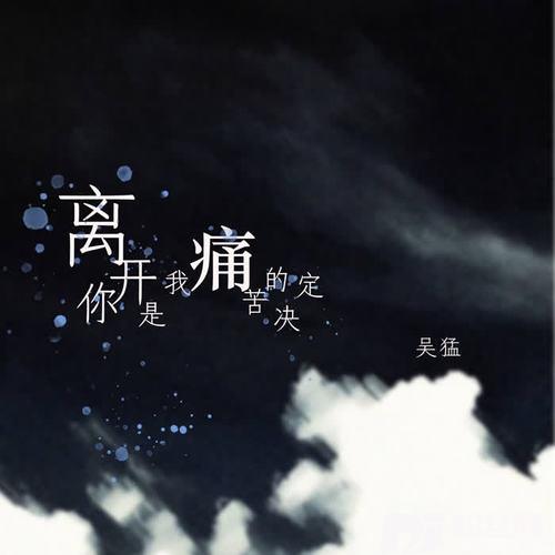 离开你是我痛苦的决定DJ可乐版