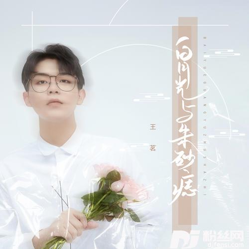 白月光与朱砂痣男声版