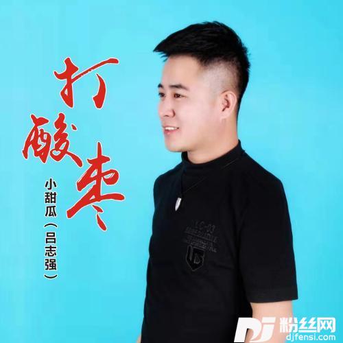 打酸枣的专辑