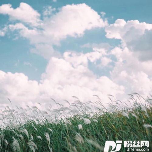 他真的对你好吗的专辑