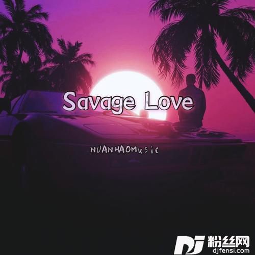 SavageLoveRemix