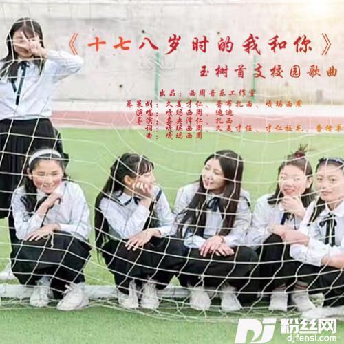 十七八岁时的我和你的专辑
