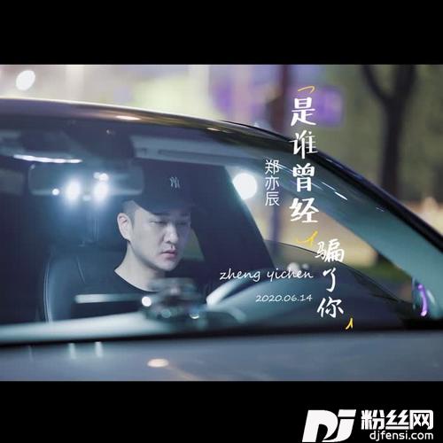 是谁曾经骗了你（DJ版）