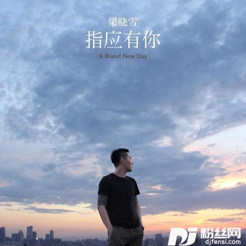 指应有你