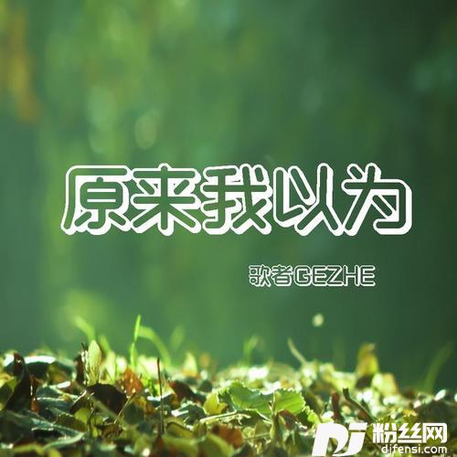原来我以为的专辑