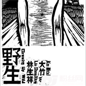 木棉花的专辑