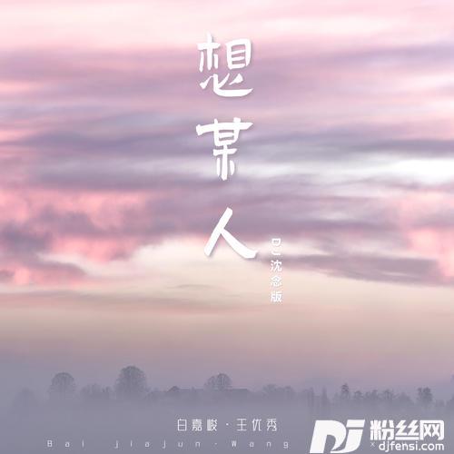想某人DJ沈念版的专辑
