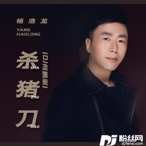 杀猪刀DJ何鹏版