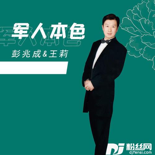 军人本色