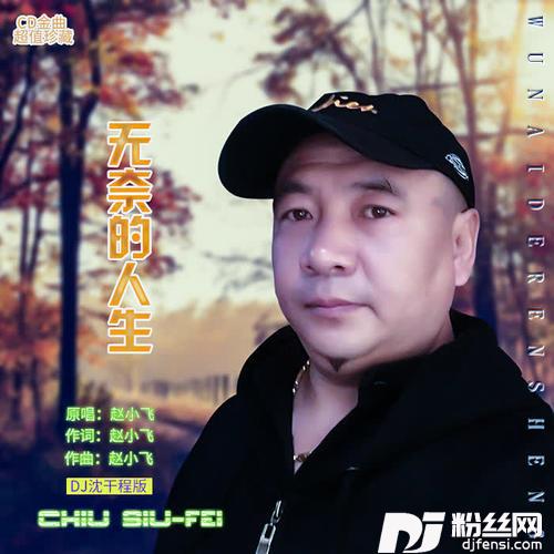 无奈的人生DJ沈干程版的专辑