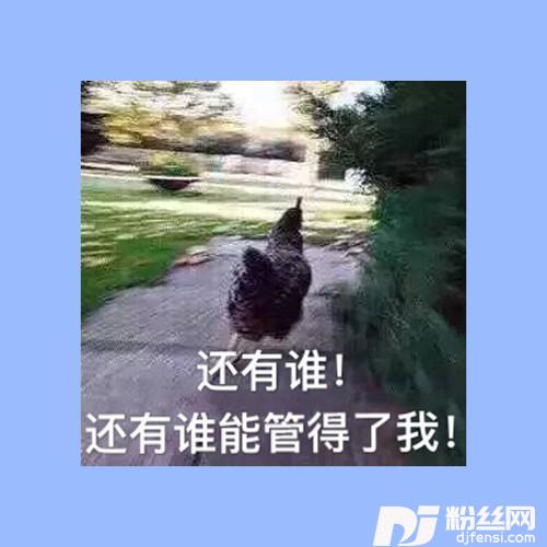 看好你的女友的专辑