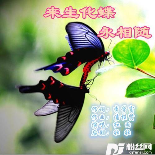 来生化蝶永相随
