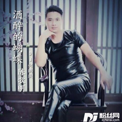 酒醉的蝴蝶DJ何鹏版的专辑
