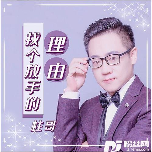 找个放手的理由DJ何鹏版