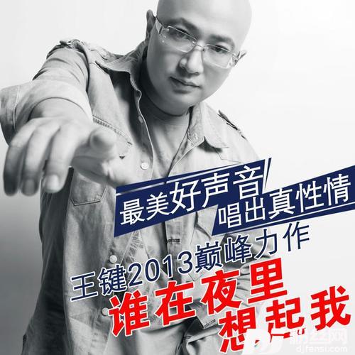 谁在夜里想起我