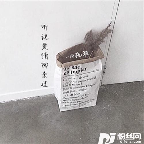 听说爱情回来过