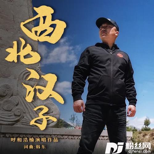 西北汉子DJ叶亚文版的专辑