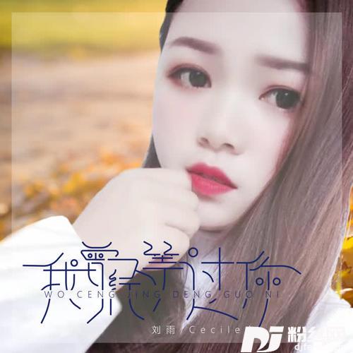 我曾经等过你