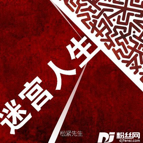 迷宫人生