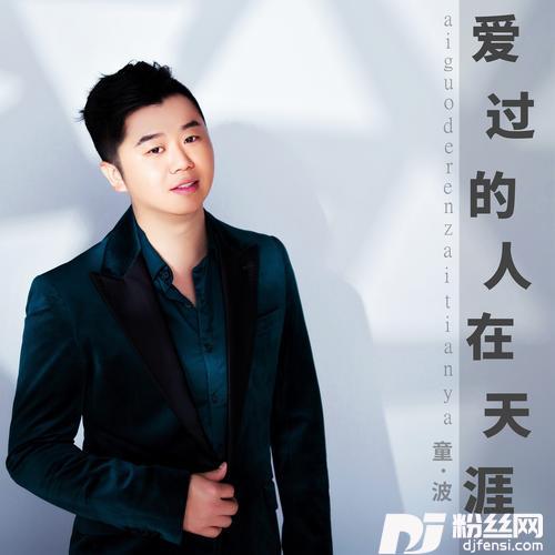 爱过的人在天涯（DJ光波版）