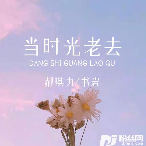 当时光老去的专辑