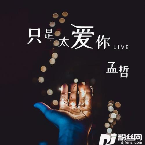 只是太爱你