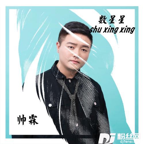 数星星（DJ有辉版）Remix的专辑