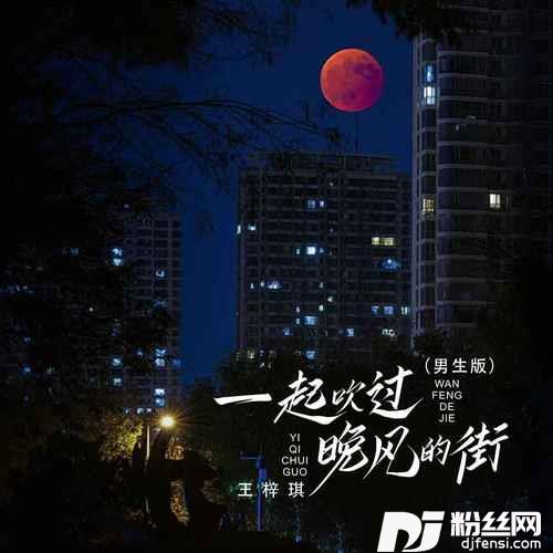 一起吹过晚风的街男生版