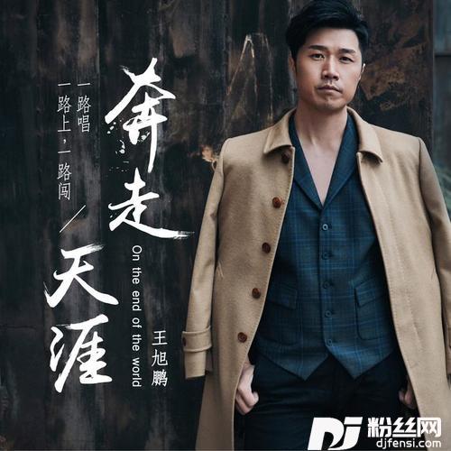 奔走天涯DJ版的专辑