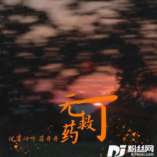 无可救药