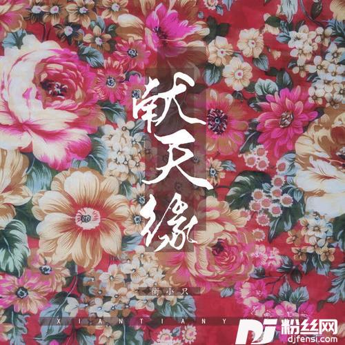 献天缘DJ名龙版