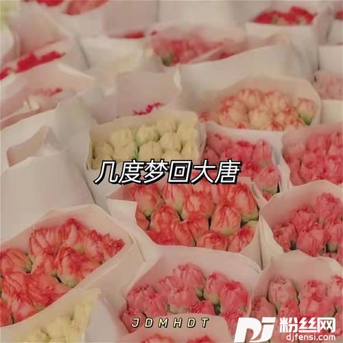 几度梦回大唐的专辑