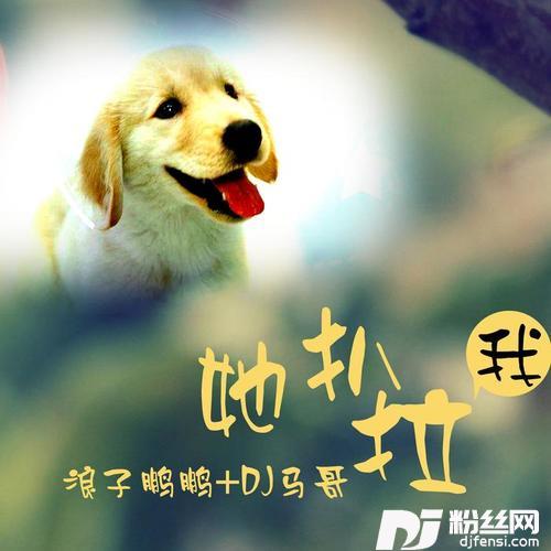 ApologizeDJ弹鼓版