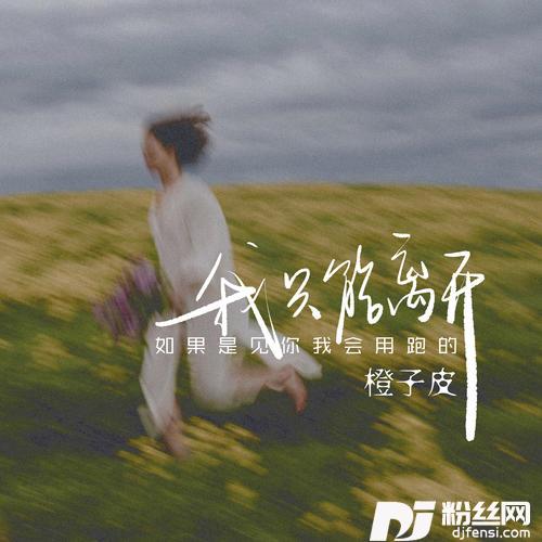 我只能离开如果是见你我会用跑的的专辑