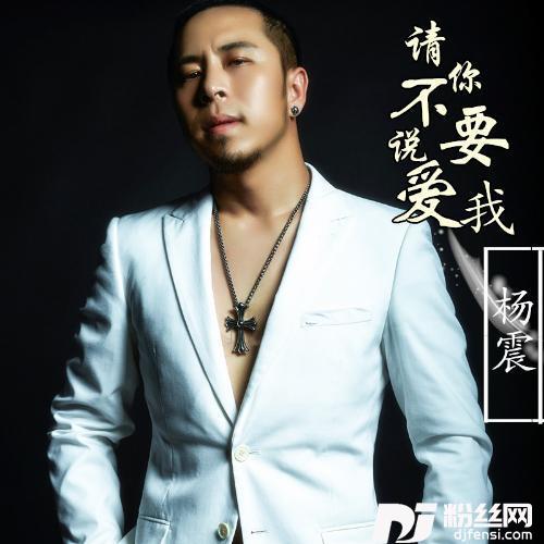 请你不要说爱我Dj大圣2k17Remix的专辑