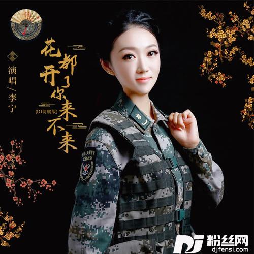 花都开了你来不来DJ何鹏版