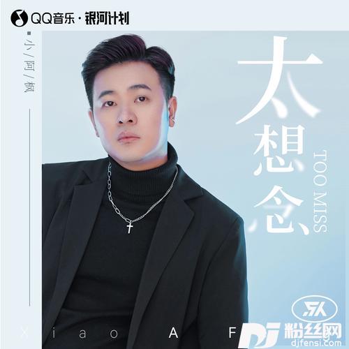 太想念DJ男版
