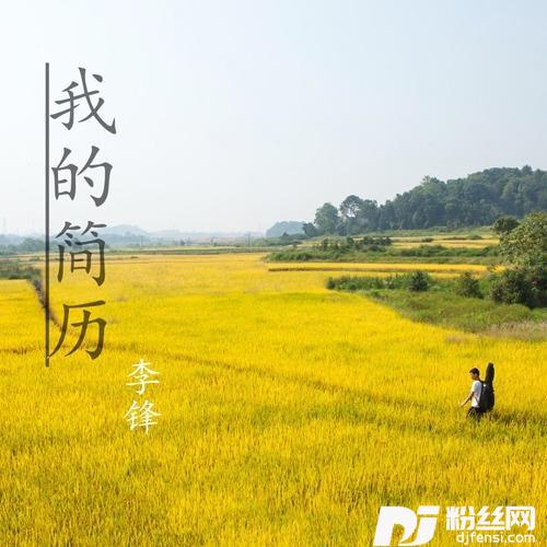 我的简历