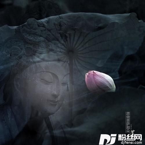 愿做菩萨那朵莲