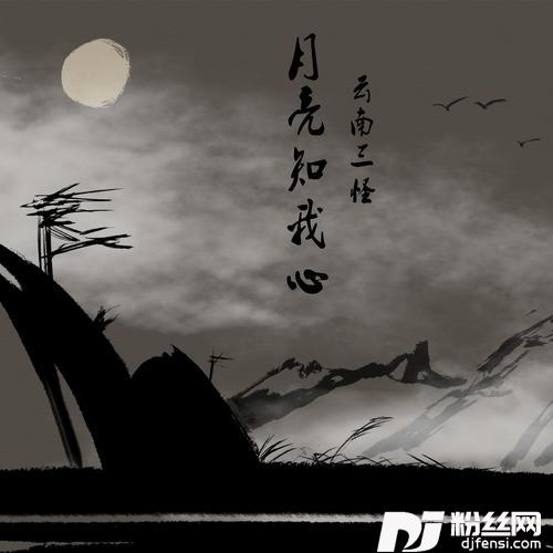 月亮知我心