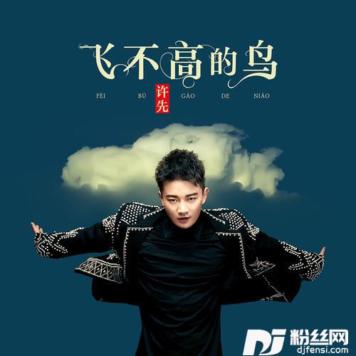 飞不高的鸟